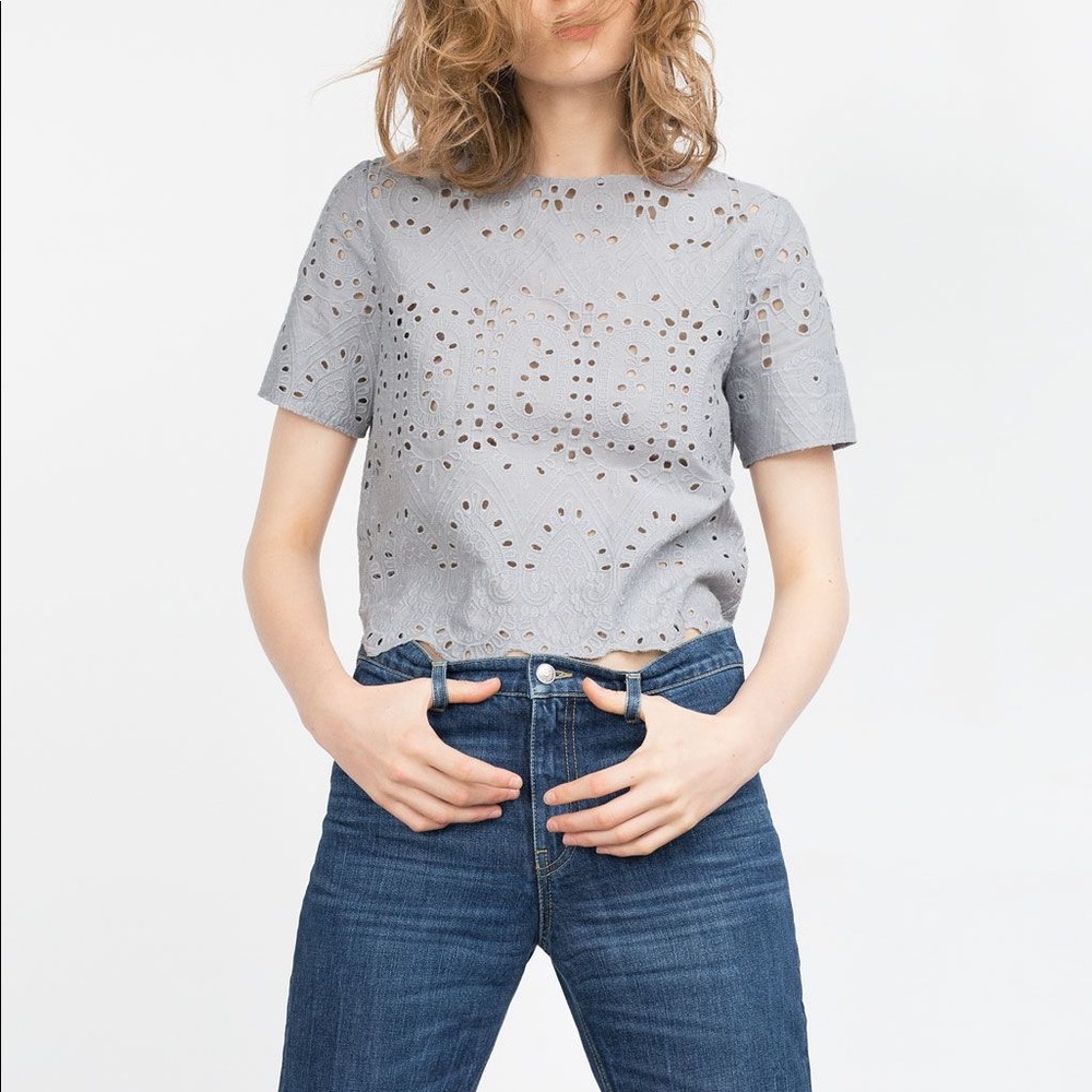 Women's Zara Basics Gray Eyelet Crop Top Shirt